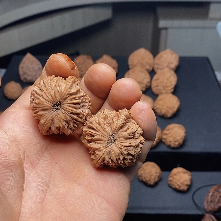 把件文玩核桃半*秦岭野生三角鸡