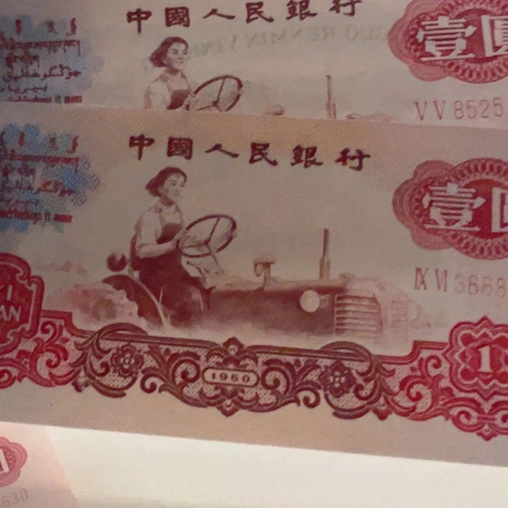自尊黄金树超强荧光