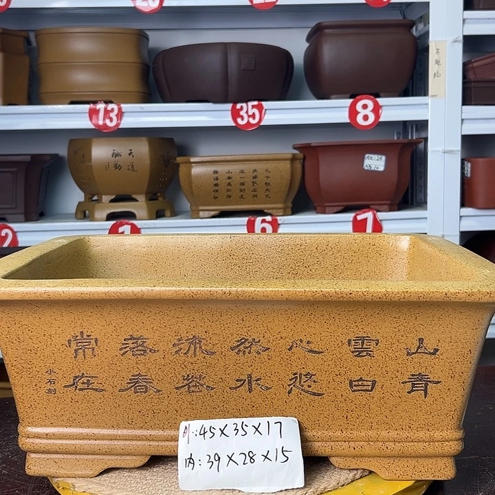 紫砂花盆你在一起