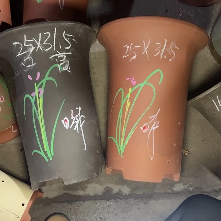 周深周深周深周深周深