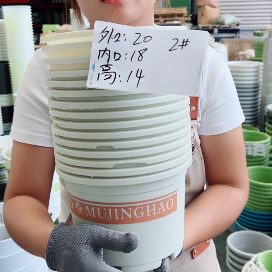 瑕疵矮胖2#米白色15个无托