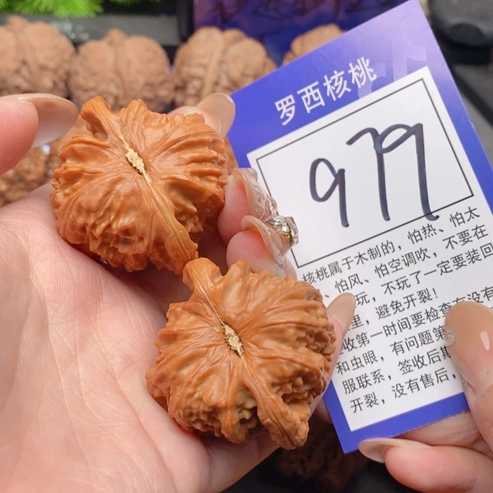 吊坠桃核法***?42白狮子979号牌