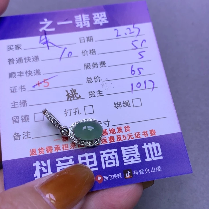 翡翠颈饰银S925镶嵌朱*雨