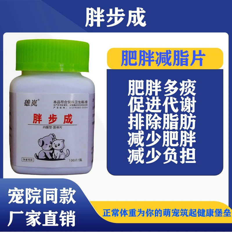 宠物猫狗胖不成宠物过胖体重超标减少能力吸收阻断脂肪吸收减肥