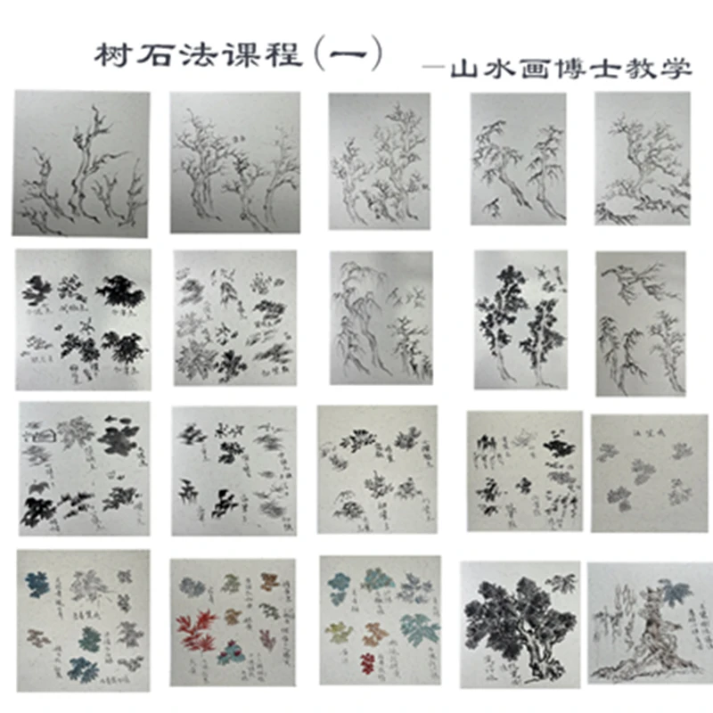 树石法线上课程（无作业讲解）-山水画博士示范教学