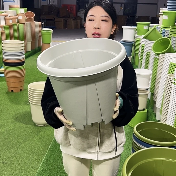 清仓青山口40高34灰白3只无托
