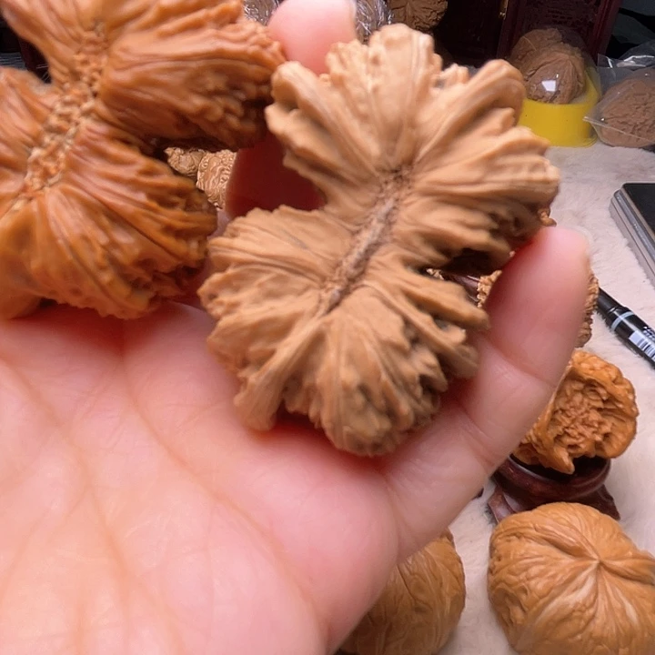 勇**前不退不换连体核桃