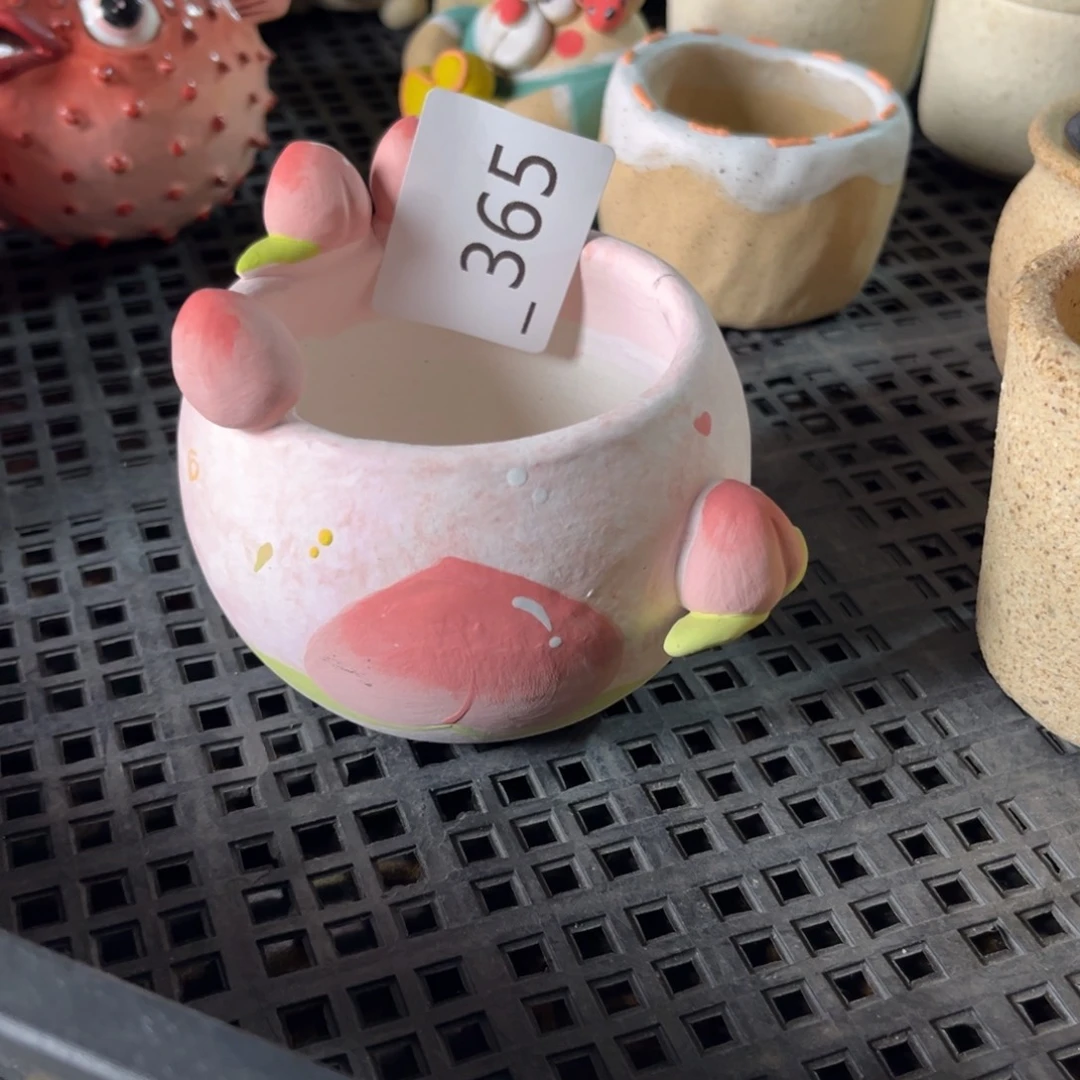 豆***贝365多肉花盆40元1个