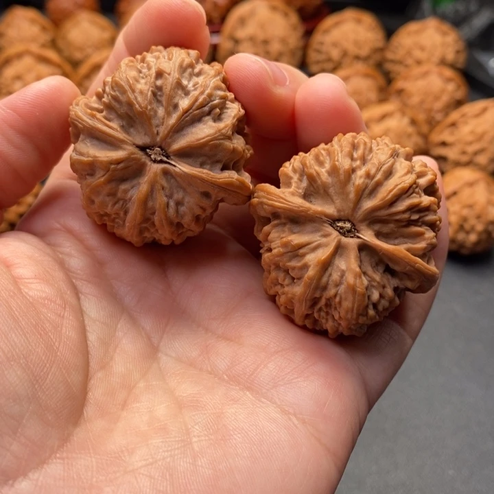 把件文玩核桃39尺麒麟枕原树非嫁接果