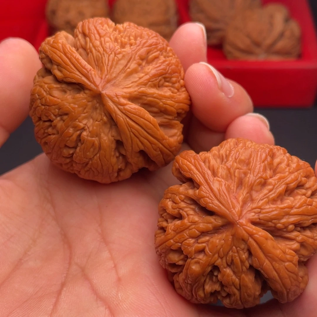 文玩核桃把件秦岭山脉核桃