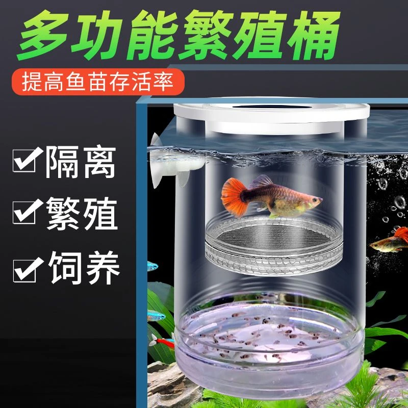 鱼缸悬浮式孔雀鱼繁殖隔离盒小鱼幼鱼苗凤尾母鱼产房漂浮孵化罐网