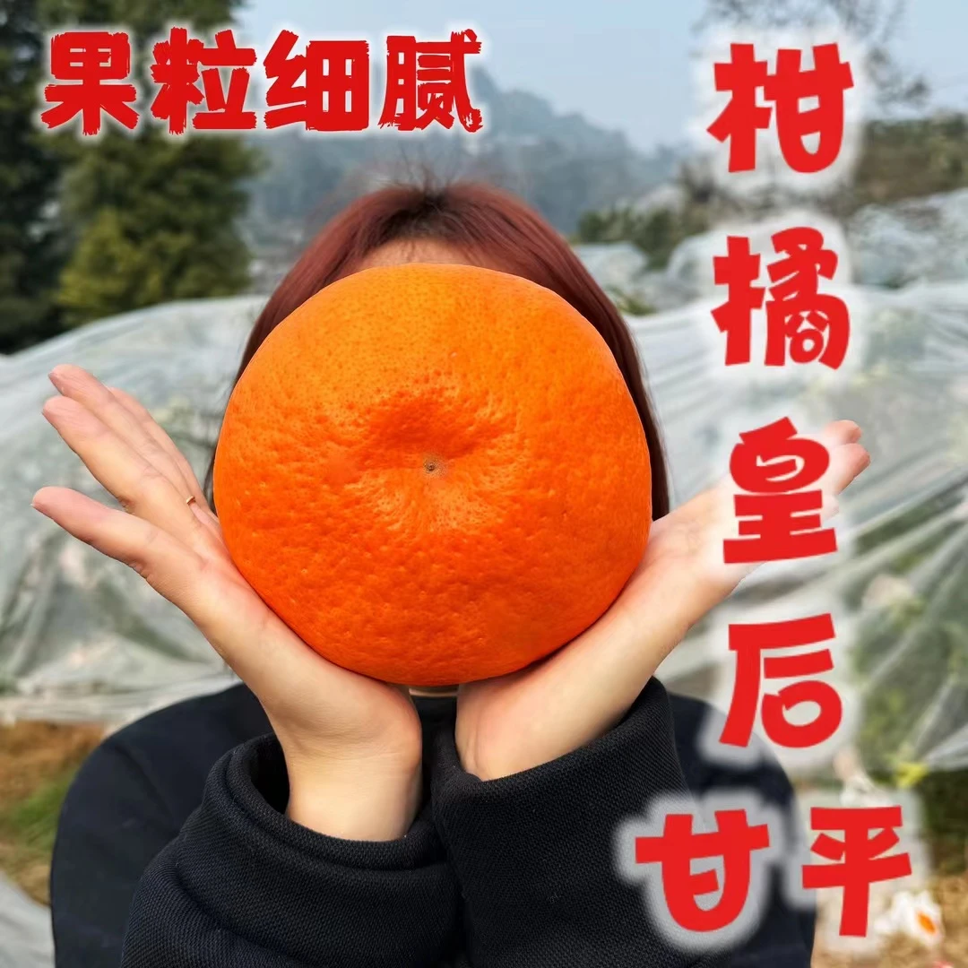 【柑橘皇后】正宗四川柑橘皇后甘平4.5斤细腻化渣纯甜不酸个头大