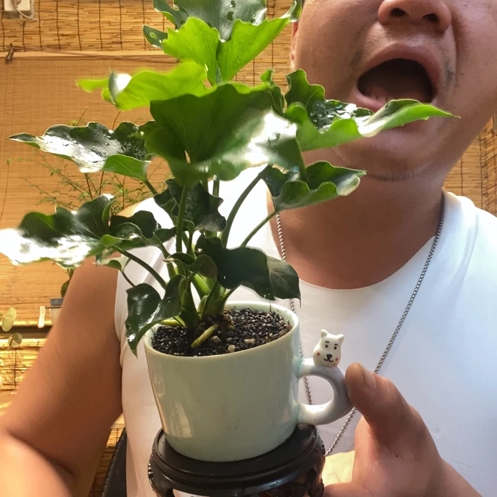 一物一拍所见即所得561
