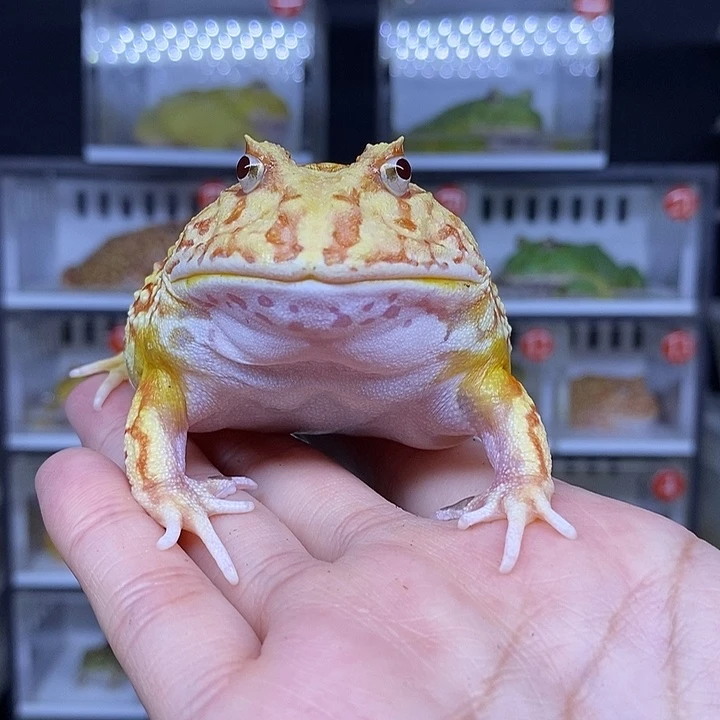 特价秒杀活动地址