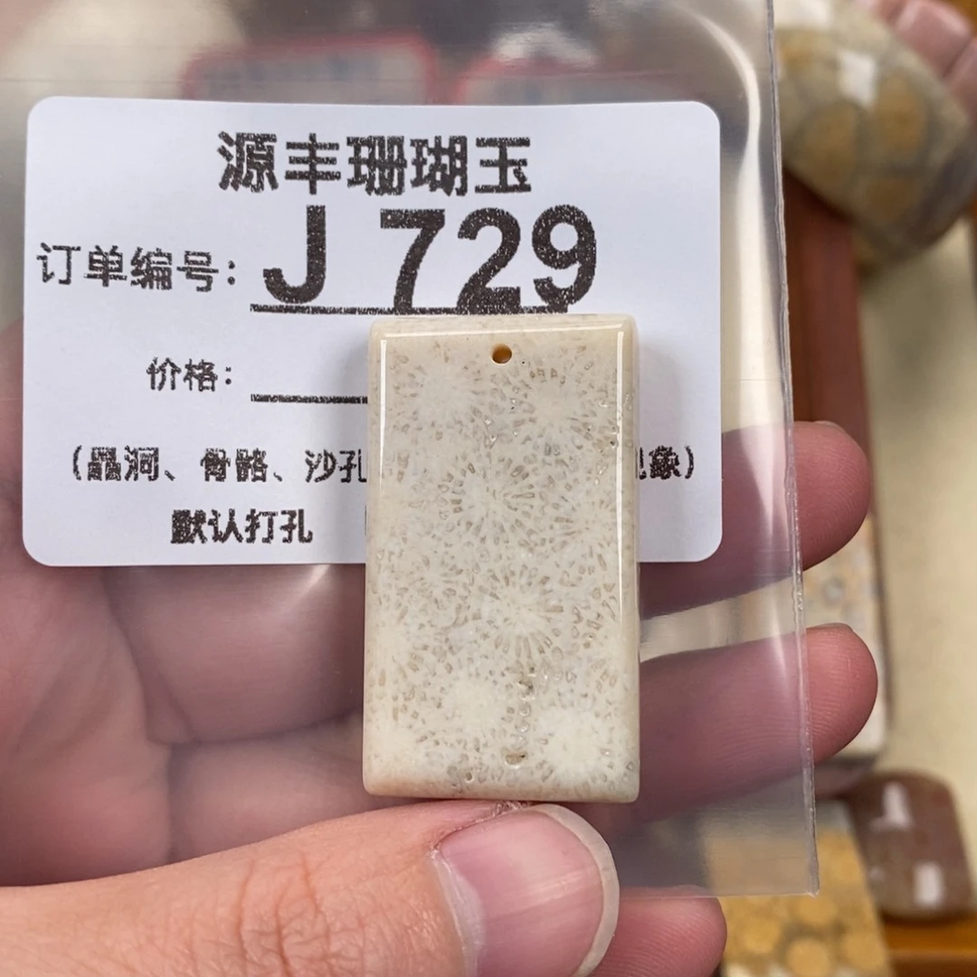 硅化玉颈饰未镶嵌天*?
