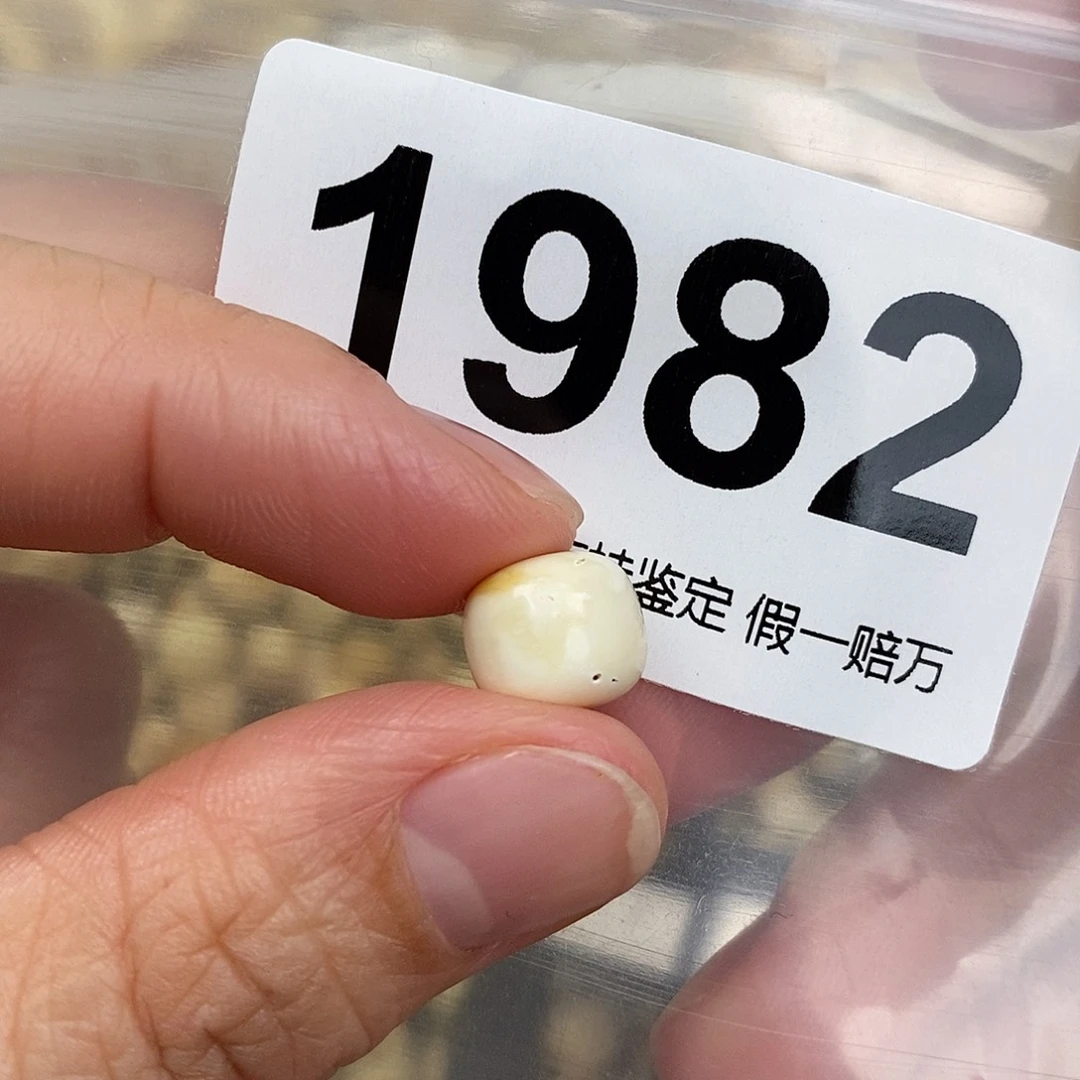 蜜蜡未镶嵌珠宝奇石9.7