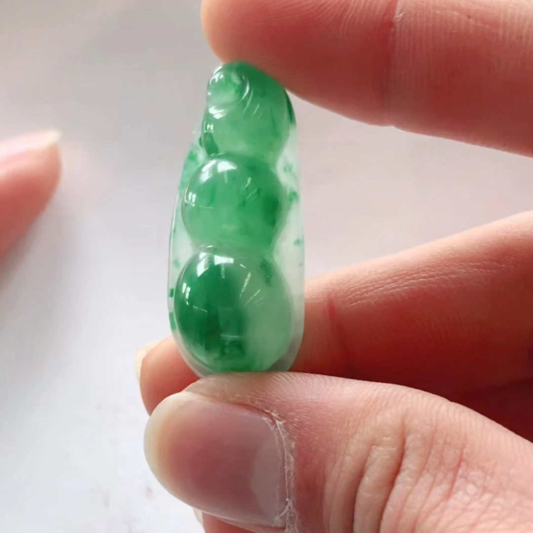 翠汐非洲翠吊坠冰飘花多样性发货