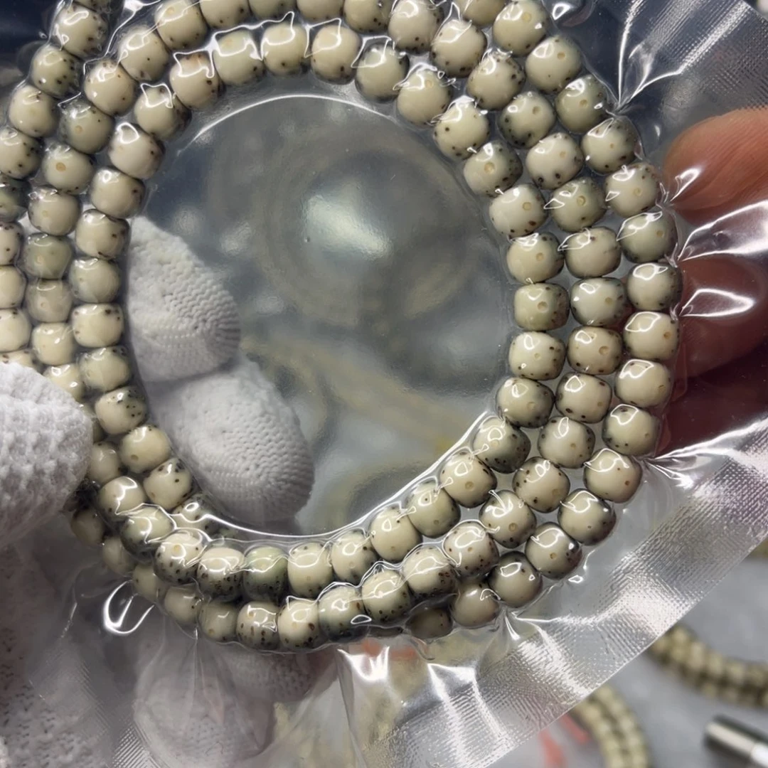 满***星菩提籽类aaaaaaaaaaa2