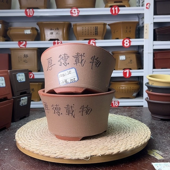 紫砂花盆蛇年大吉