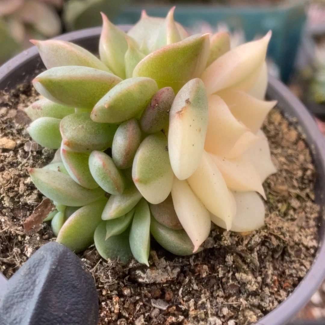 322贝加尔湖锦锦锦锦锦