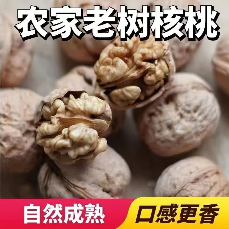【sj到手2斤】新货正宗2025农家干核桃老然不漂白薄皮核桃老品种