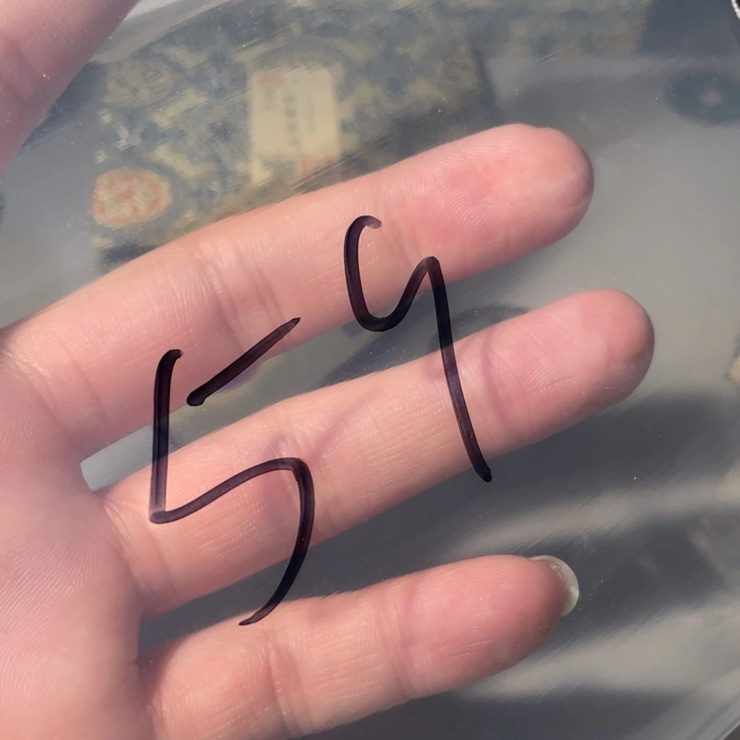 铜五*古钱币59号「悟泉」