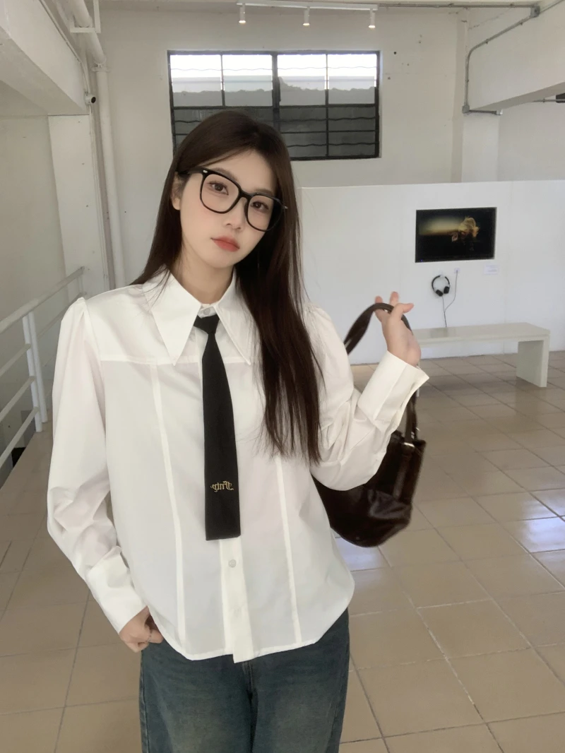 4096大码女装胖妹妹休闲收腰显瘦遮肚百搭减龄长袖衬衫上衣2936