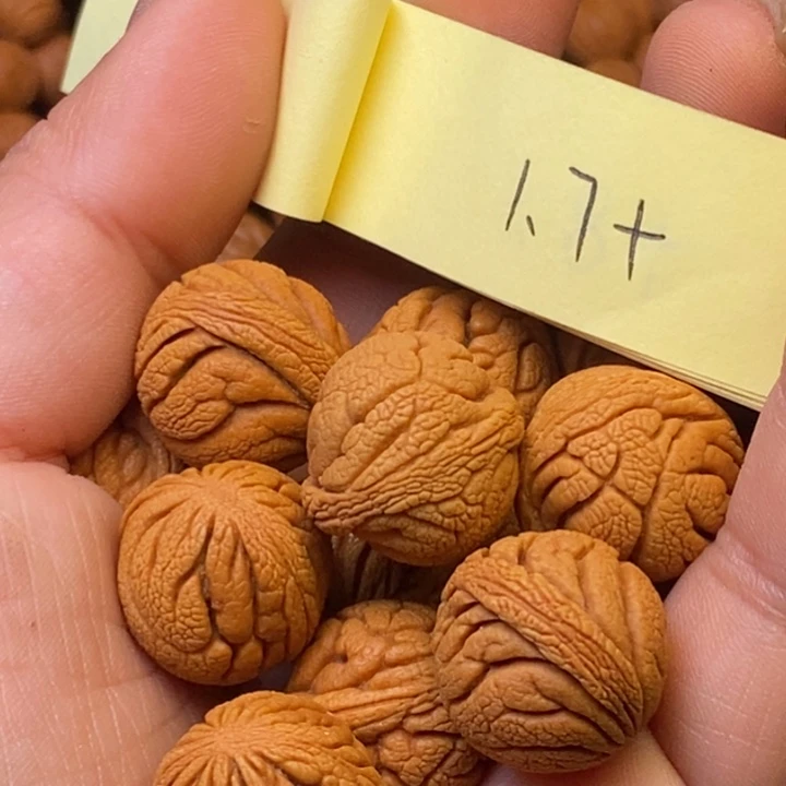 秦岭龙纹桃核15颗