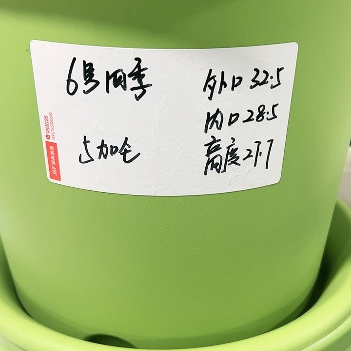 特价6号口32.5高27白色5只带托