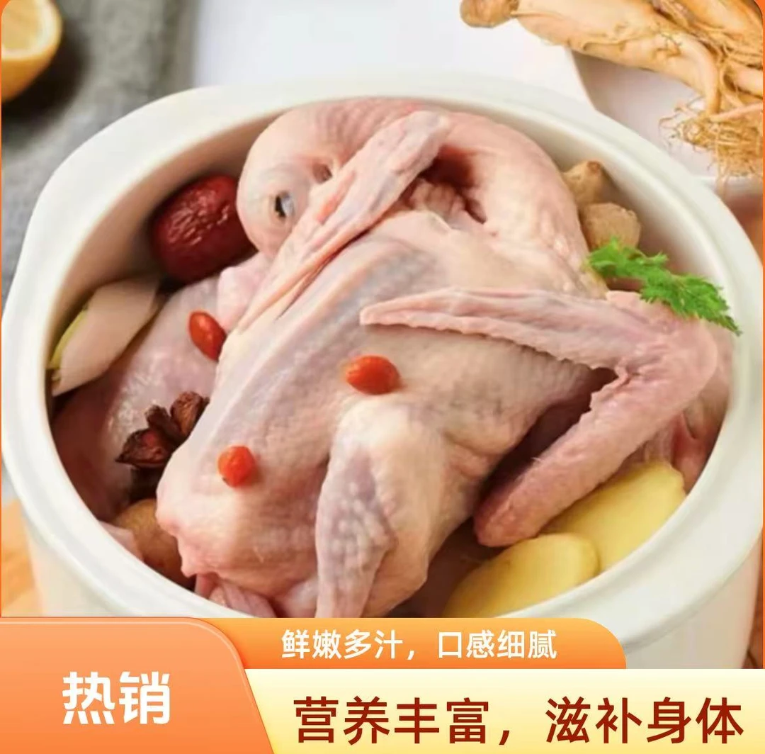 【精选2只】农家散养土鸽子新鲜现杀鸽子带内脏心肝顺丰冷链