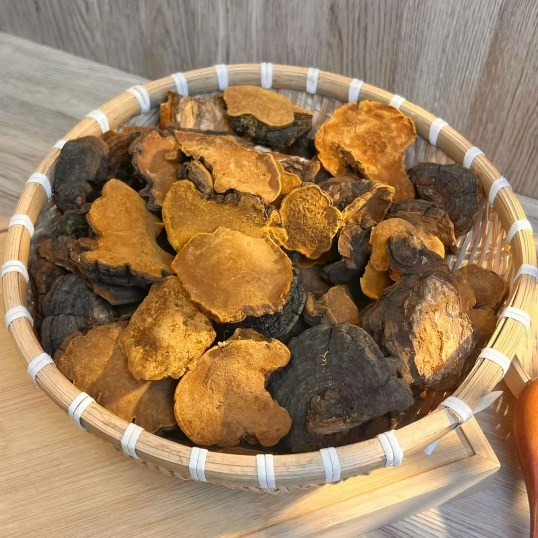 【好滋味】【精选无硫】 桑黄 煲汤日常