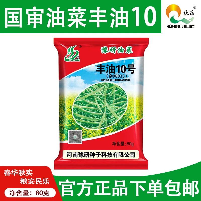 【丰油10号】油菜种子品质优良抗病抗逆性强丰产性突出适应性强