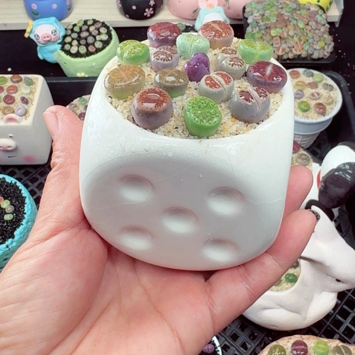 514零下地区记得拍保温箱
