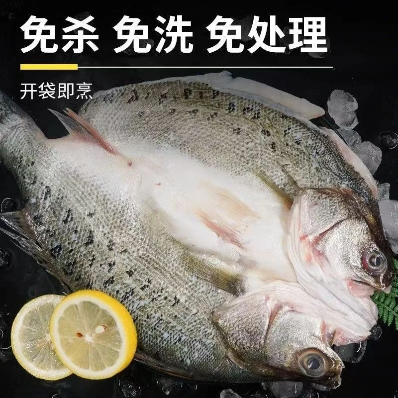 新鲜海鲈鱼调味开背速冻（去鳞去内脏）顺丰冷链海鲈鱼450-500克/条