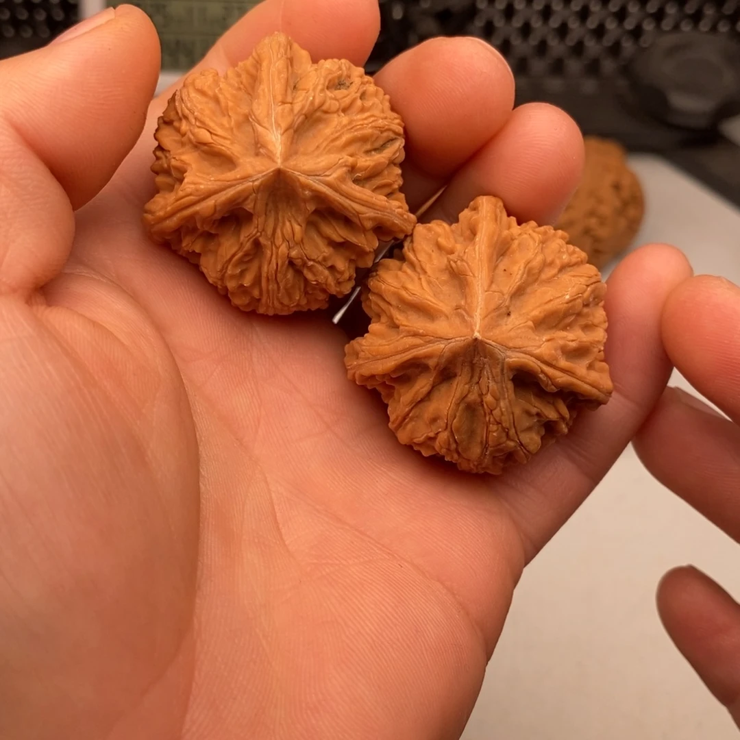 文玩核桃把件39文山三棱