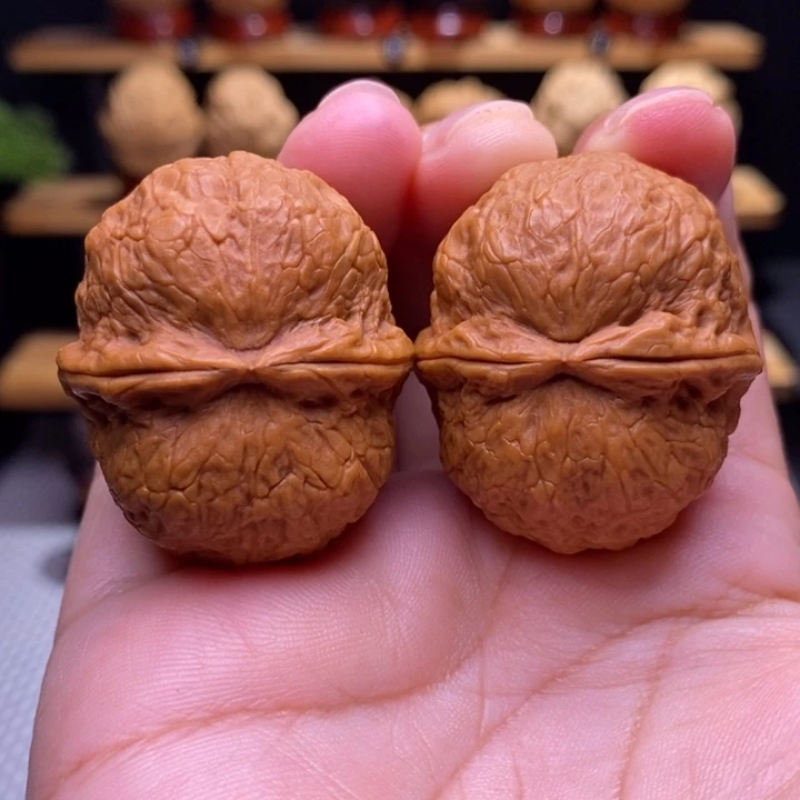 木质类云铁保山化石3号39尺