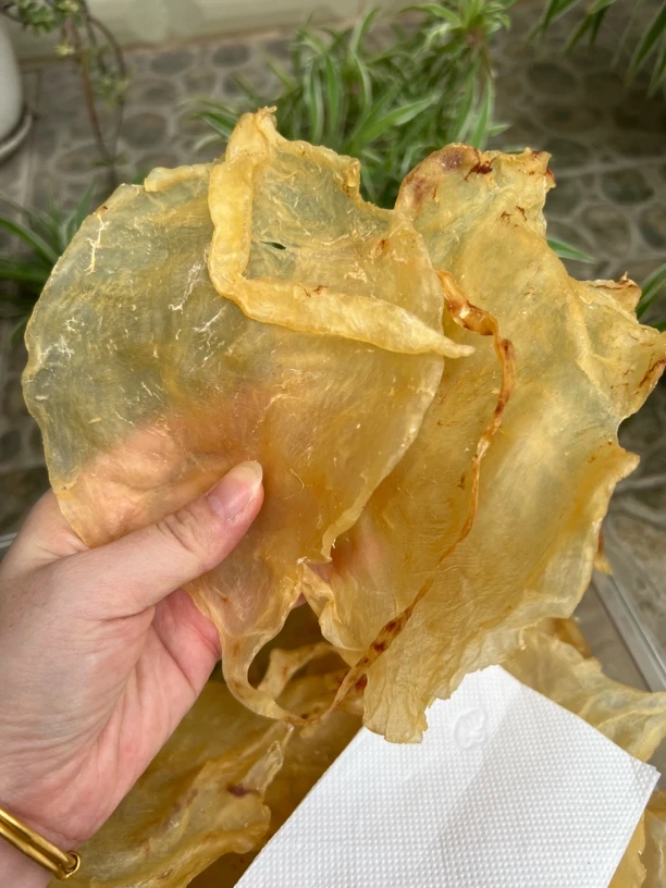 广东南澳 厚肉斗湖公胶 一斤16头