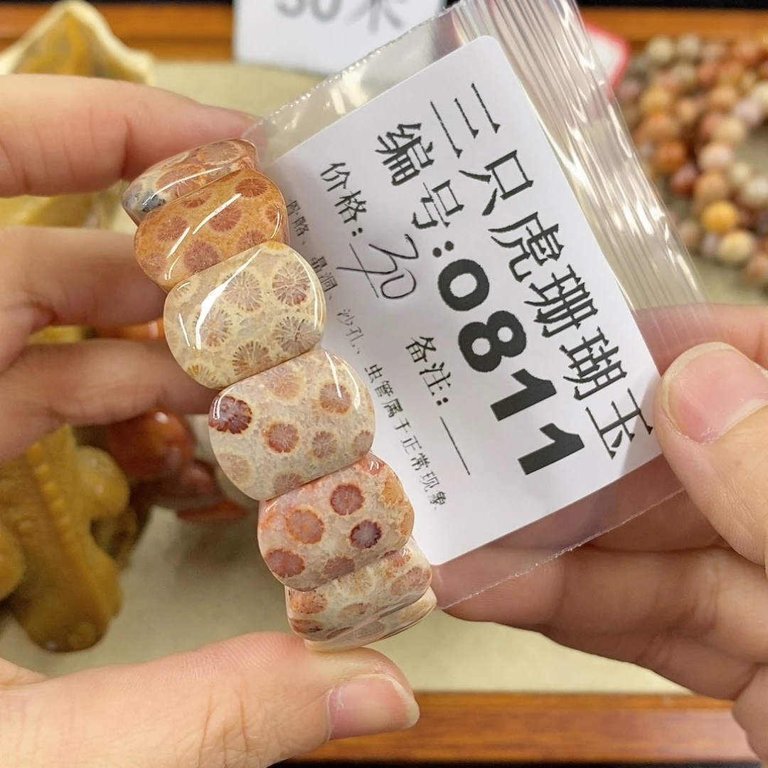 硅化珊瑚（珊瑚玉）1未镶嵌蓝**一