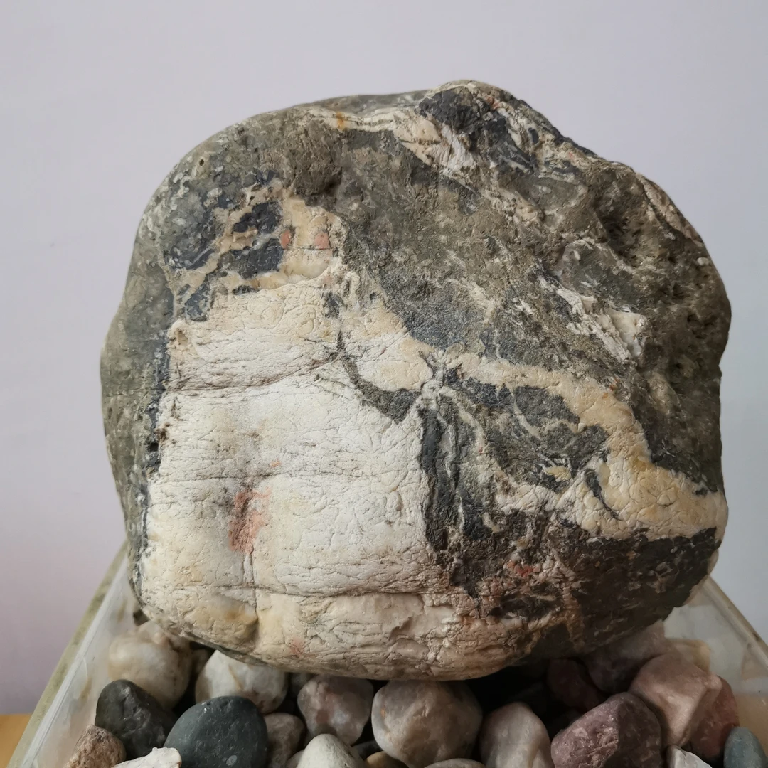 汝石梅花石荷花石象形石一物一拍