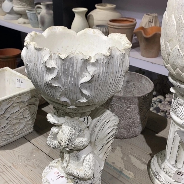 花盆5588888000000000000000