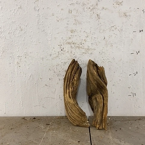 柏木精品小店买了一个