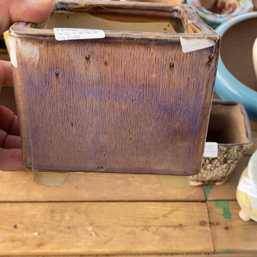 33号花盆内10.5高12