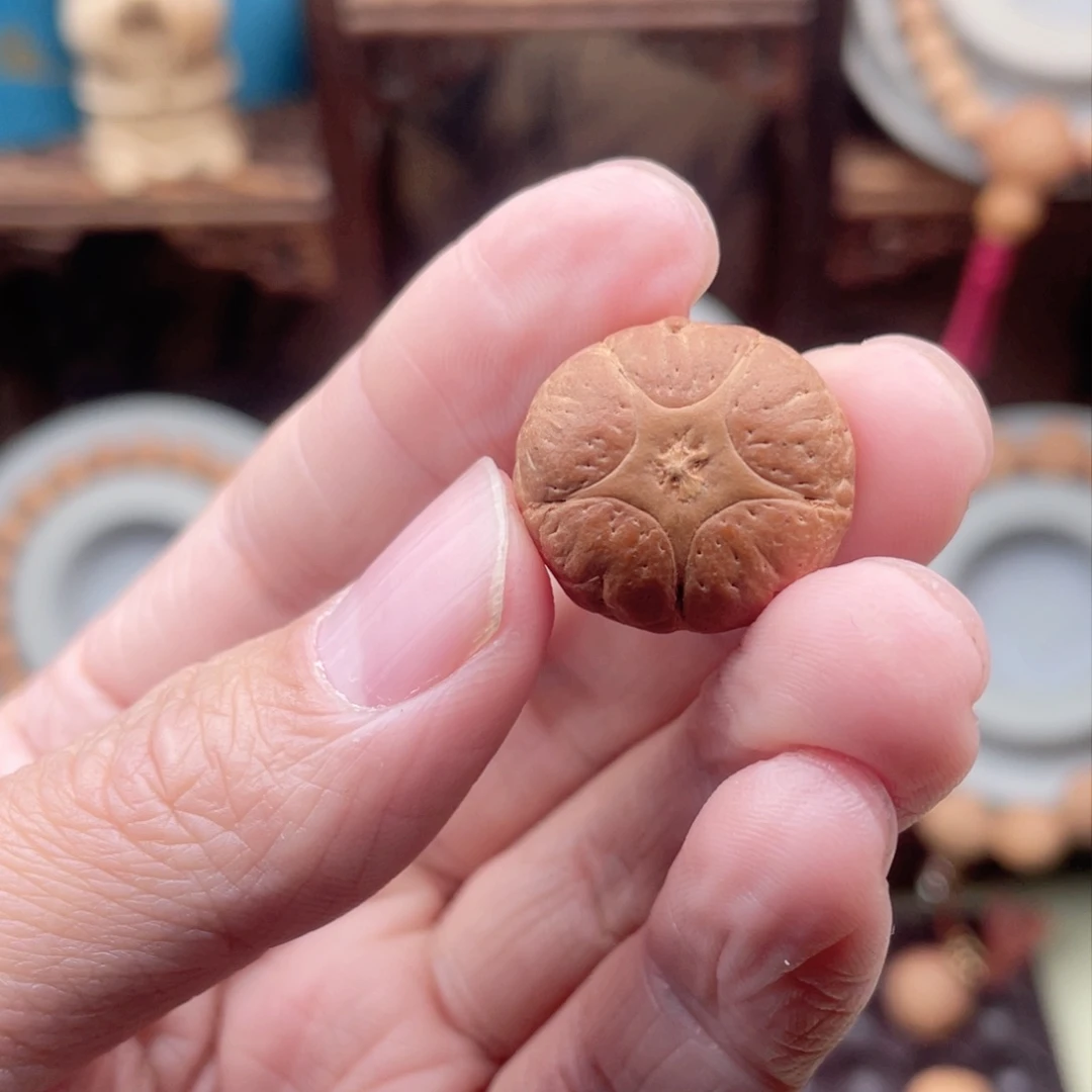 吊坠凤眼菩提蒲**?五星