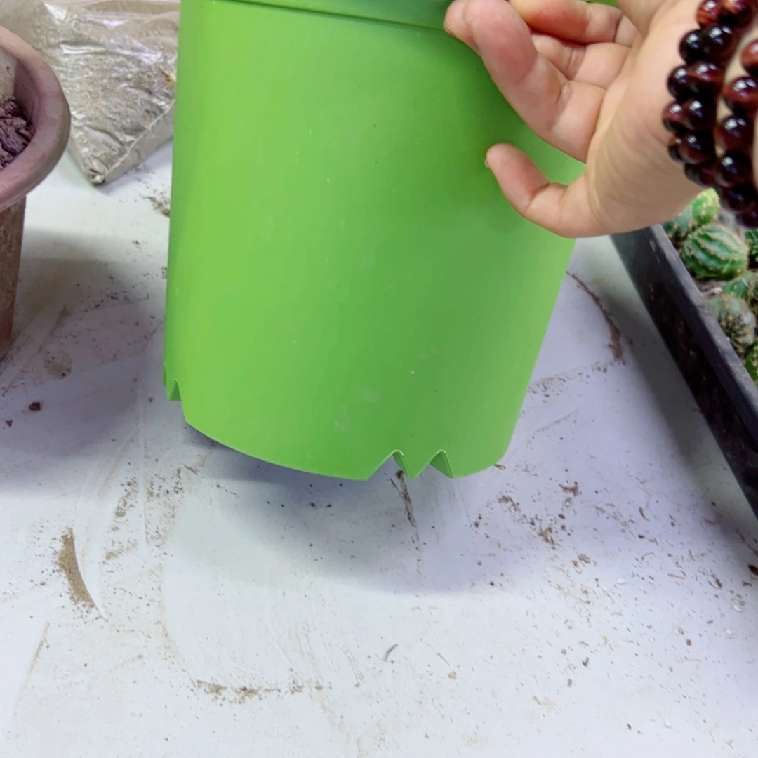 下120大绿盆口径20高19无托盘20包邮