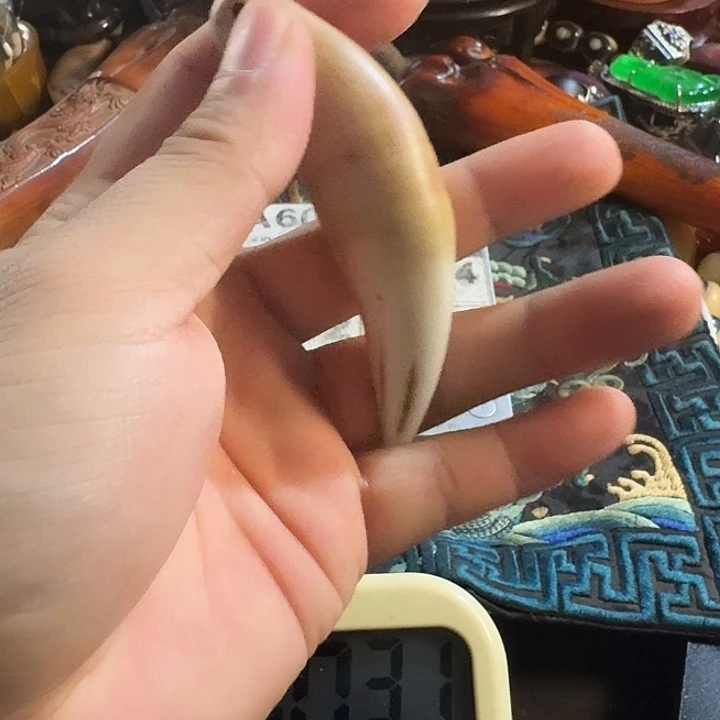 大哥专拍链接一号