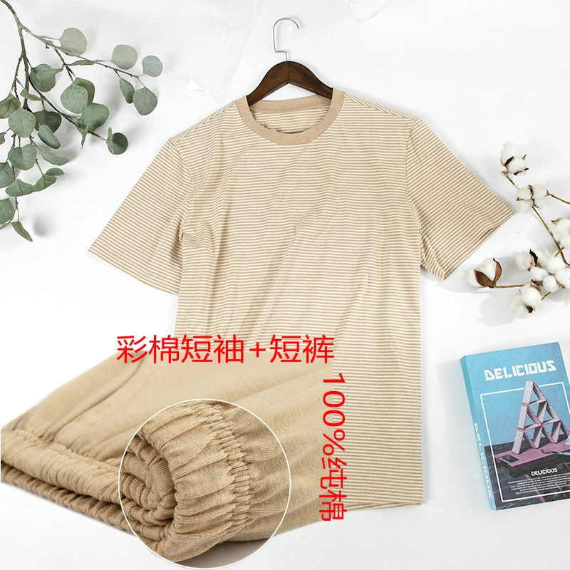 彩棉 短袖套装纯棉家居服夏季宽松圆领大码中老年男士条纹休闲