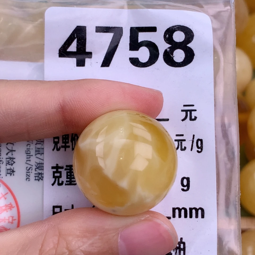 金珀未镶嵌珠宝奇石22.6 植物