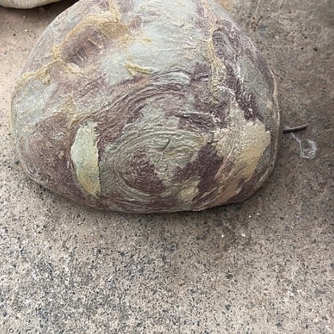 无花朵老*家居装修效果图