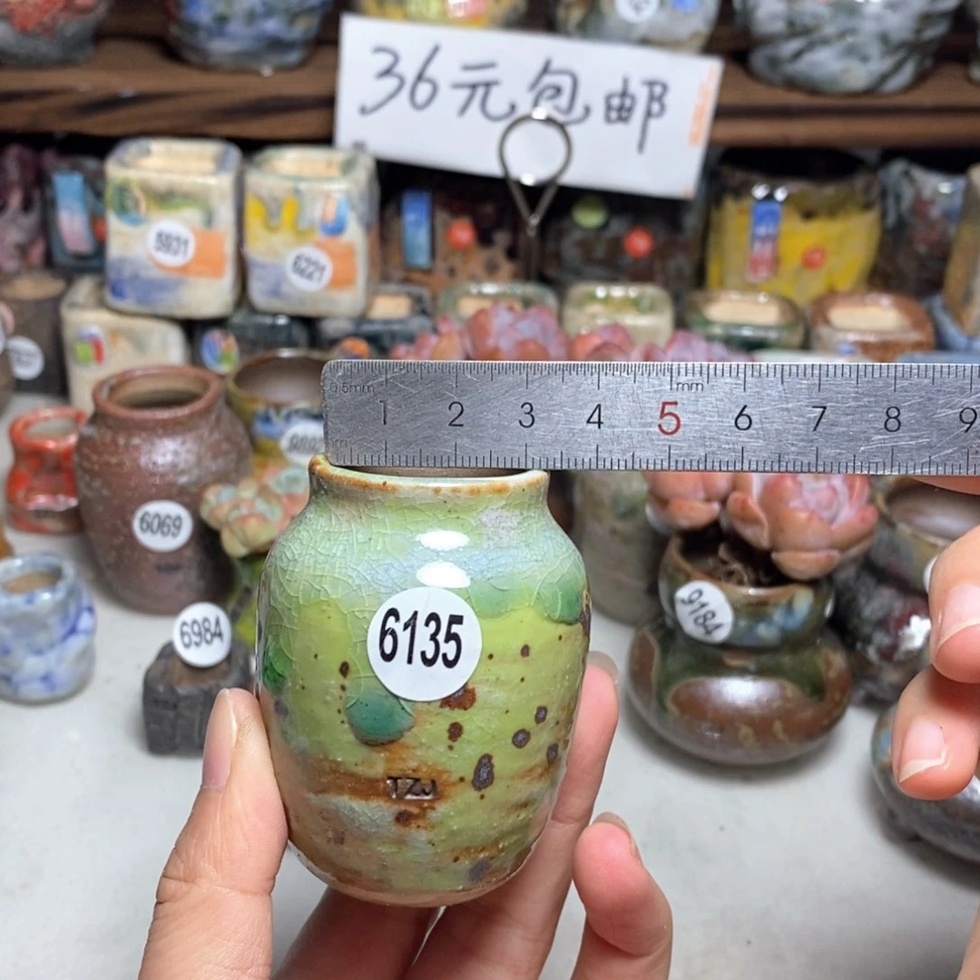 拍5送一个小礼物，不含多肉