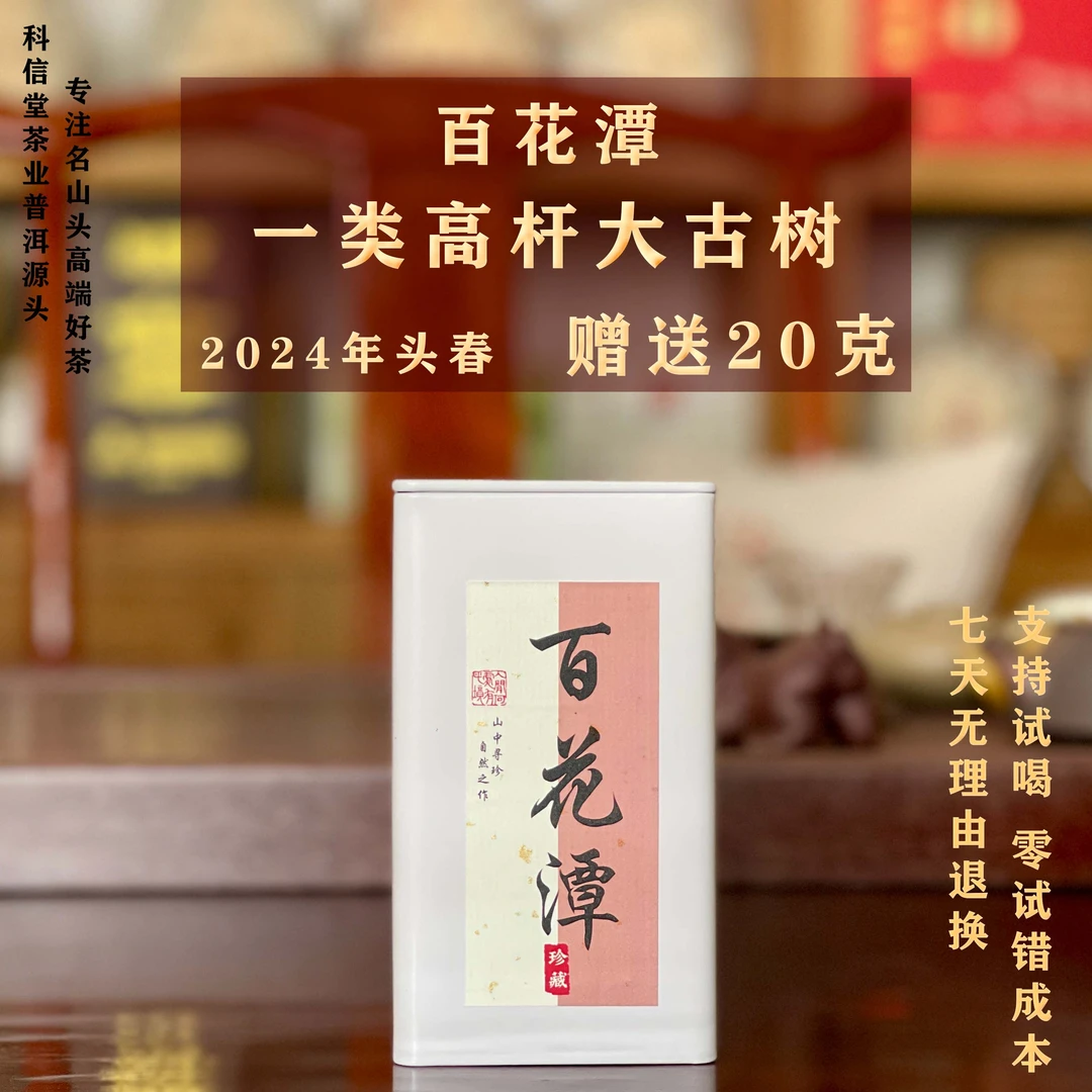 2024年 百花潭一类 高杆古树头春纯料普洱生茶散料